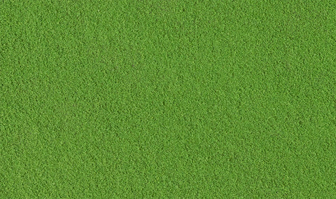 Image of Woodland Scenics Turf Shaker Fine Green Grass T1345