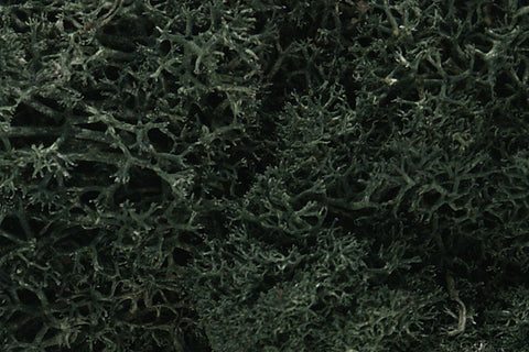 Woodland Scenics Lichen Dark Green L164